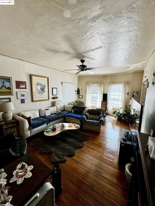 living room featuring ceiling fan, wood-type flooring, and a textured ceiling