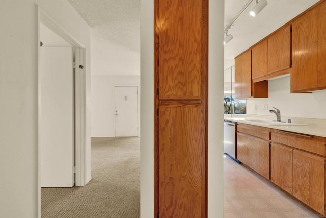 kitchen with track lighting, dishwasher, light carpet, and sink