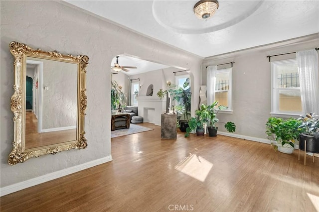 foyer featuring ceiling fan and wood-type flooring