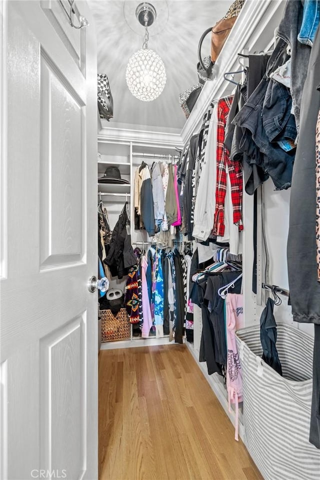 walk in closet featuring light hardwood / wood-style flooring