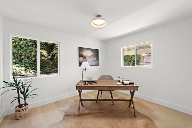 office featuring hardwood / wood-style flooring