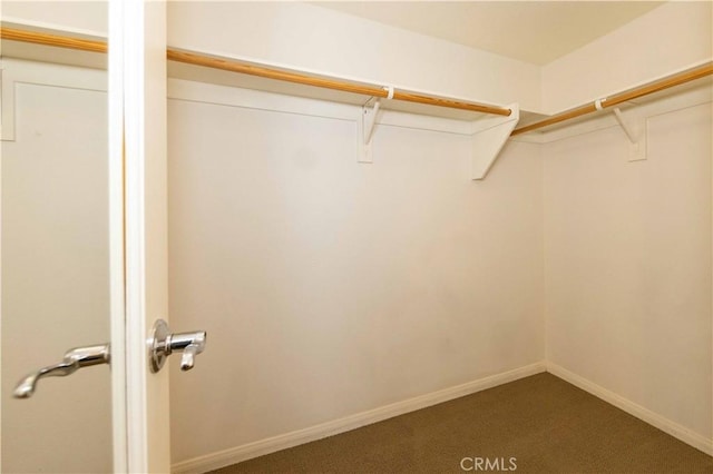 walk in closet with dark colored carpet