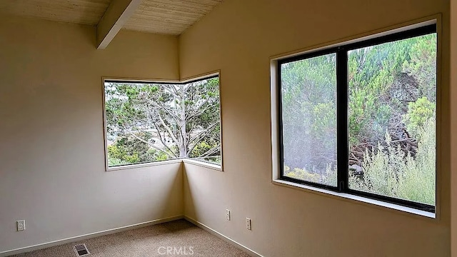 spare room featuring a healthy amount of sunlight, carpet floors, and wooden ceiling