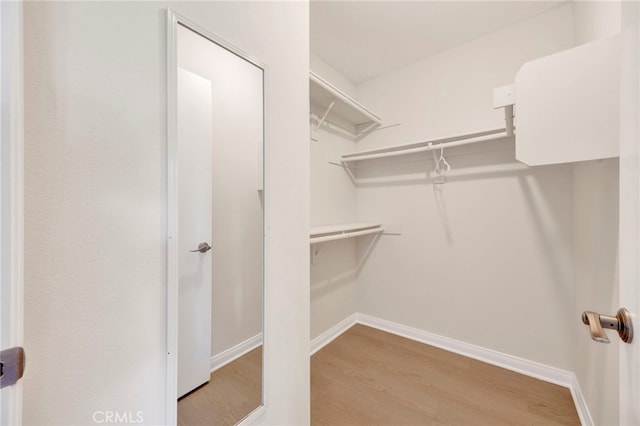 spacious closet with light wood-type flooring