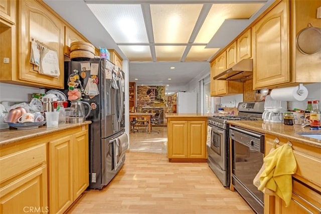 kitchen with kitchen peninsula, light wood-type flooring, and appliances with stainless steel finishes