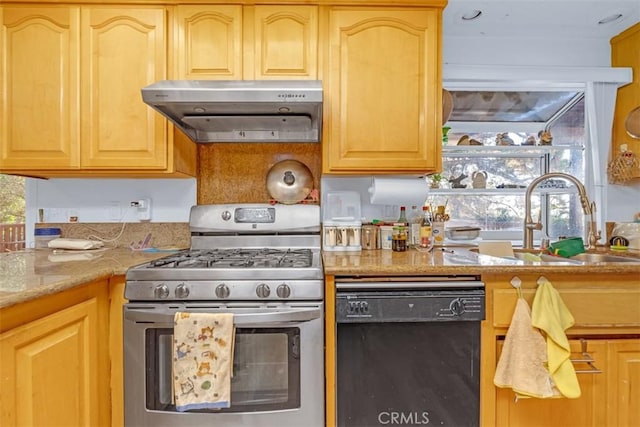 kitchen featuring dishwasher, plenty of natural light, sink, and gas range