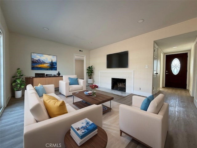 living room featuring a fireplace and light wood-type flooring