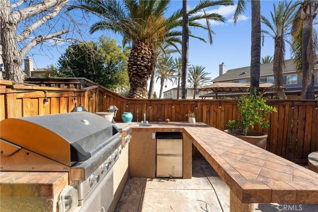 view of patio / terrace featuring area for grilling and grilling area