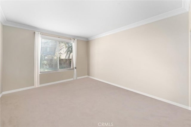 spare room with carpet flooring and crown molding