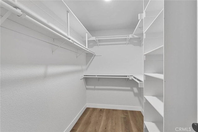 spacious closet with hardwood / wood-style flooring