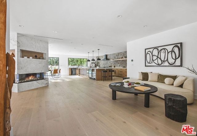 living room featuring a premium fireplace and light wood-type flooring