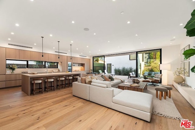 living room featuring light hardwood / wood-style floors and a wall of windows