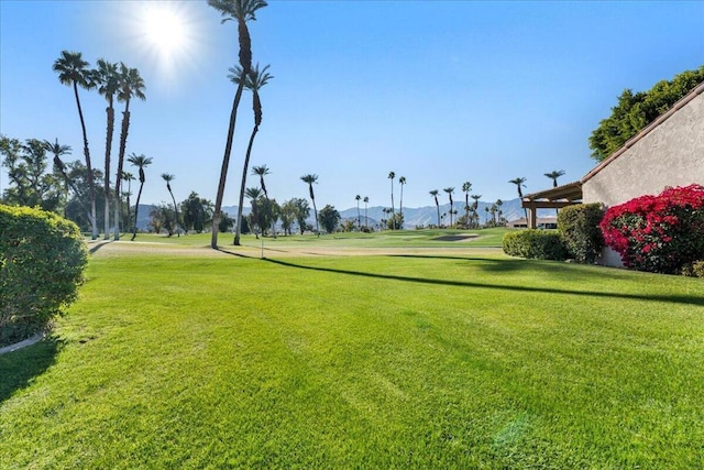 view of property's community with a lawn