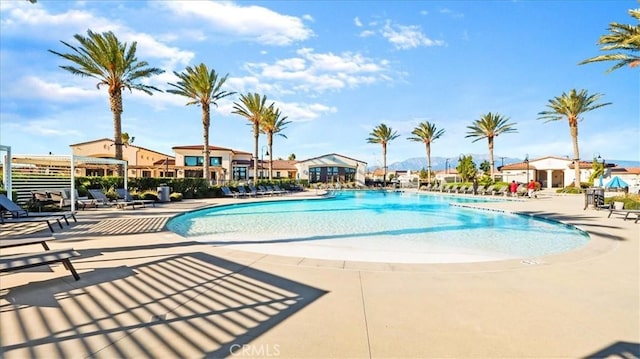 view of pool featuring a patio