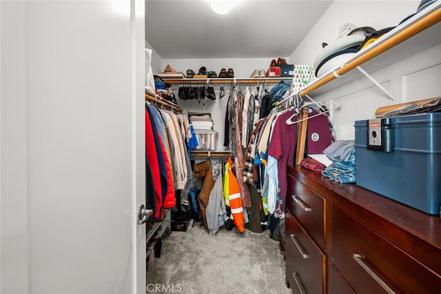 walk in closet featuring carpet floors