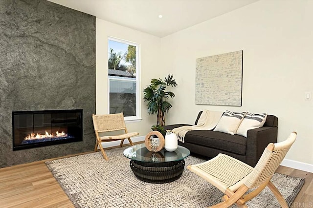 living room featuring a fireplace and wood-type flooring