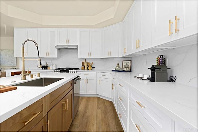 kitchen with white cabinets, sink, light hardwood / wood-style flooring, stainless steel dishwasher, and light stone countertops