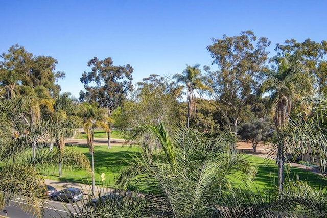 view of home's community featuring a yard