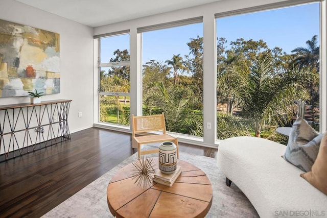 sitting room featuring dark hardwood / wood-style flooring