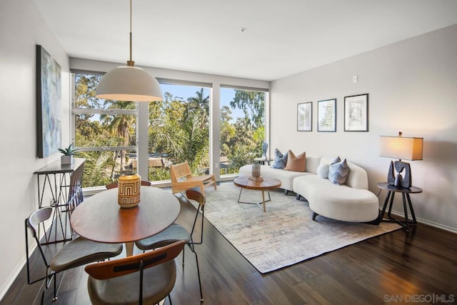 living room featuring floor to ceiling windows and dark hardwood / wood-style flooring