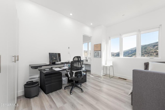 home office featuring light hardwood / wood-style flooring