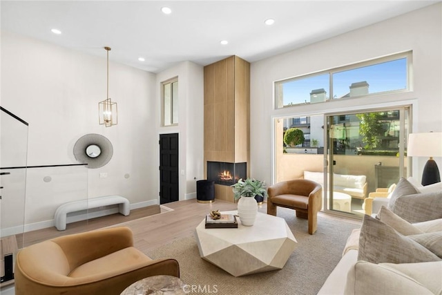 living room featuring a fireplace and light hardwood / wood-style floors