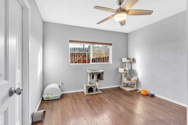 miscellaneous room featuring ceiling fan and wood-type flooring