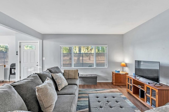 living room with wood-type flooring