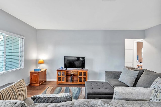 living room with wood-type flooring