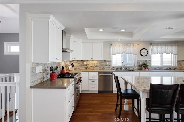 kitchen with appliances with stainless steel finishes, wall chimney exhaust hood, a tray ceiling, sink, and white cabinets