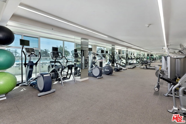 gym with expansive windows