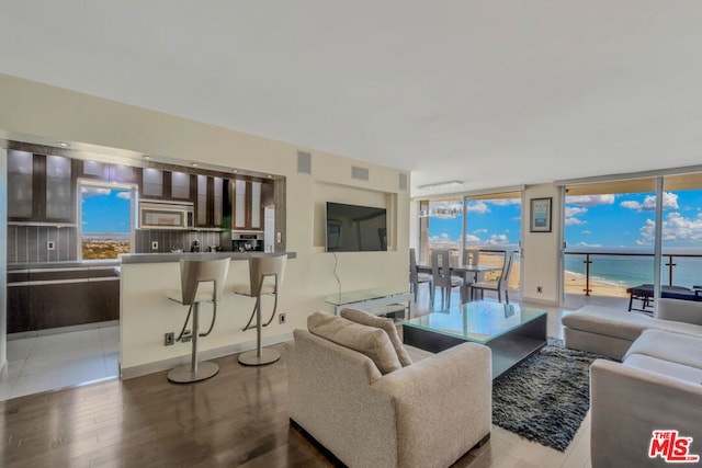 living room with wood-type flooring, a wall of windows, and a wealth of natural light