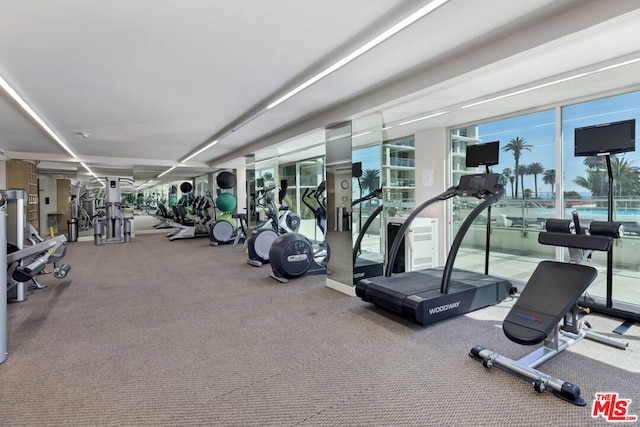 exercise room with floor to ceiling windows