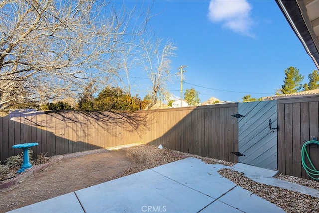 view of yard featuring a patio area