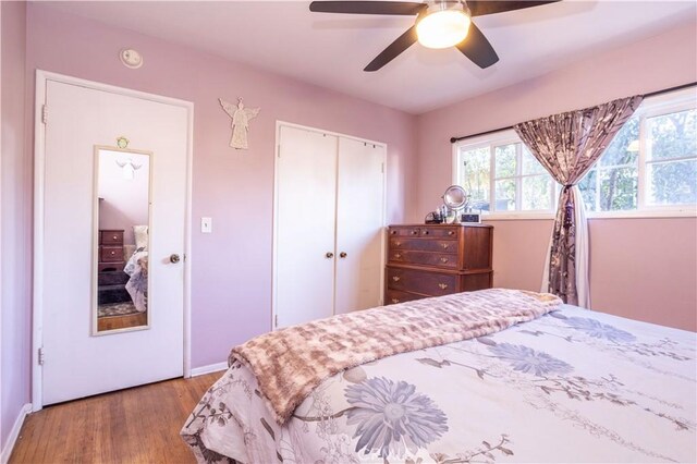 bedroom featuring ceiling fan and light hardwood / wood-style floors