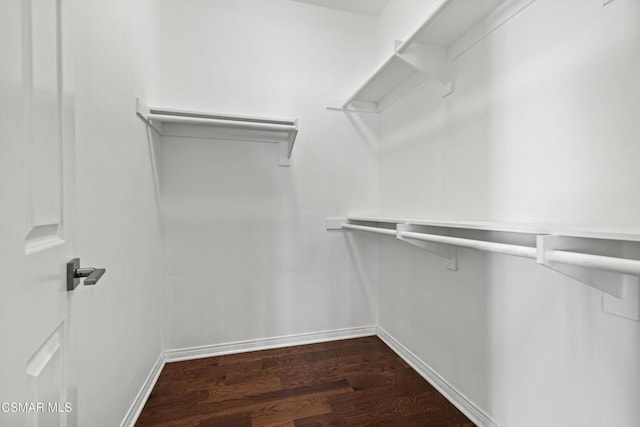 spacious closet featuring dark wood-type flooring