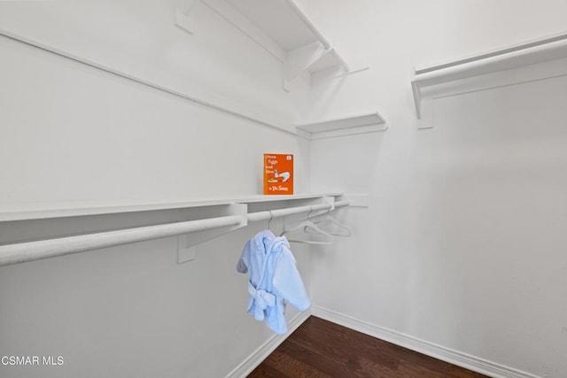 walk in closet with dark wood-type flooring