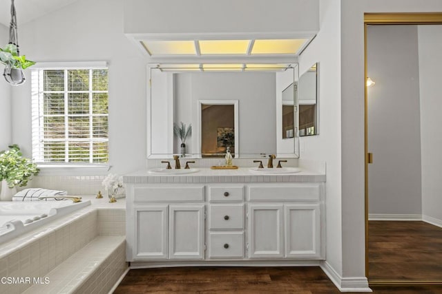 bathroom featuring vanity, plenty of natural light, and hardwood / wood-style floors