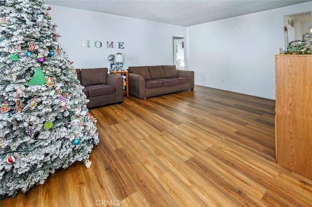 living room with wood-type flooring