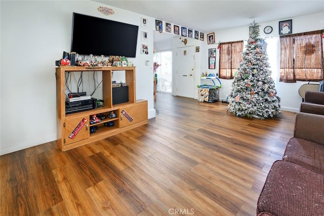 living room featuring hardwood / wood-style flooring