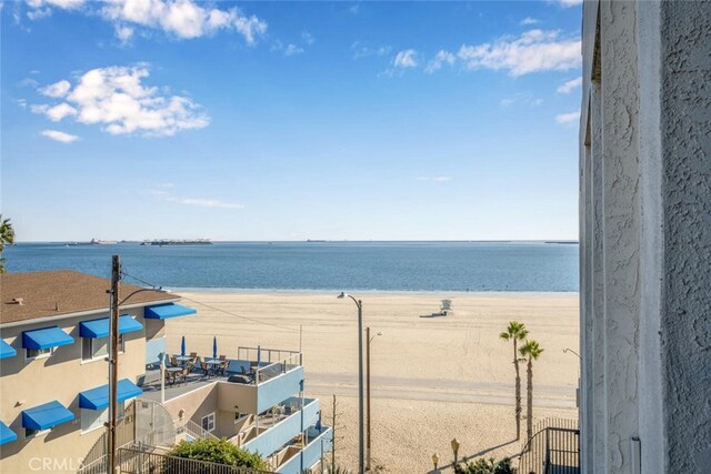 water view featuring a beach view