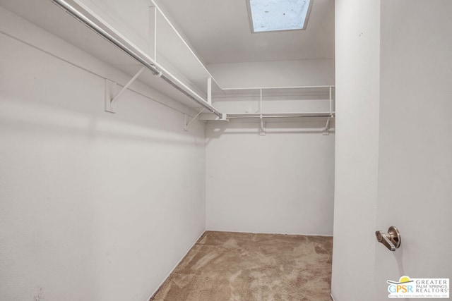 spacious closet with light carpet