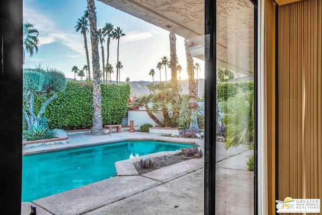 view of pool featuring a patio