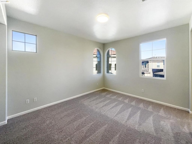 spare room with carpet floors