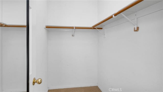 spacious closet featuring carpet