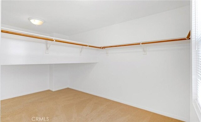 spacious closet featuring light carpet