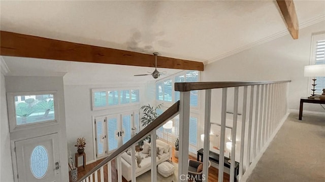 room details featuring beam ceiling, ceiling fan, and crown molding