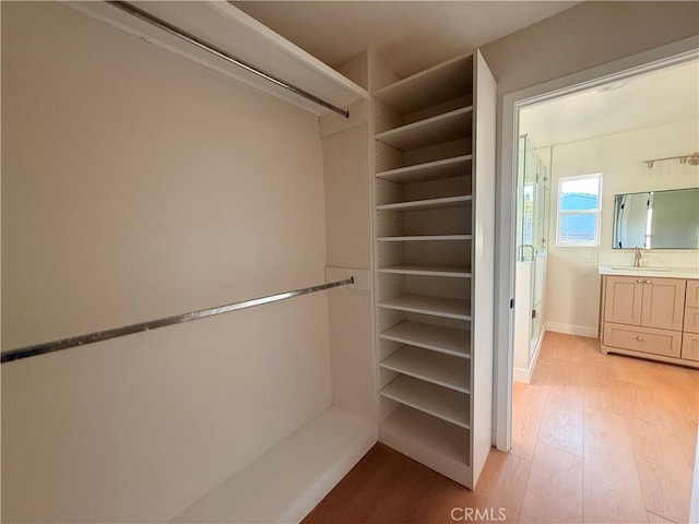 spacious closet featuring light wood-type flooring and sink