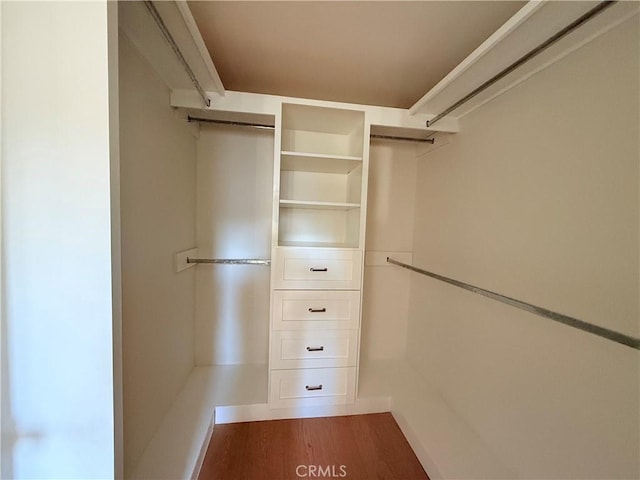 spacious closet with wood-type flooring