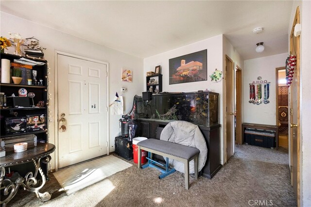 view of carpeted foyer entrance